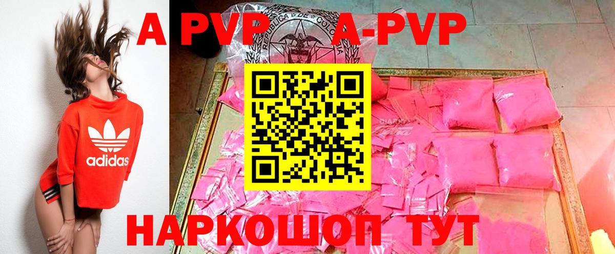 A-PVP СК Урус-Мартан