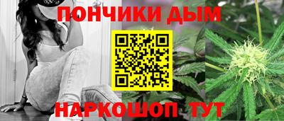 apvp Новодвинск