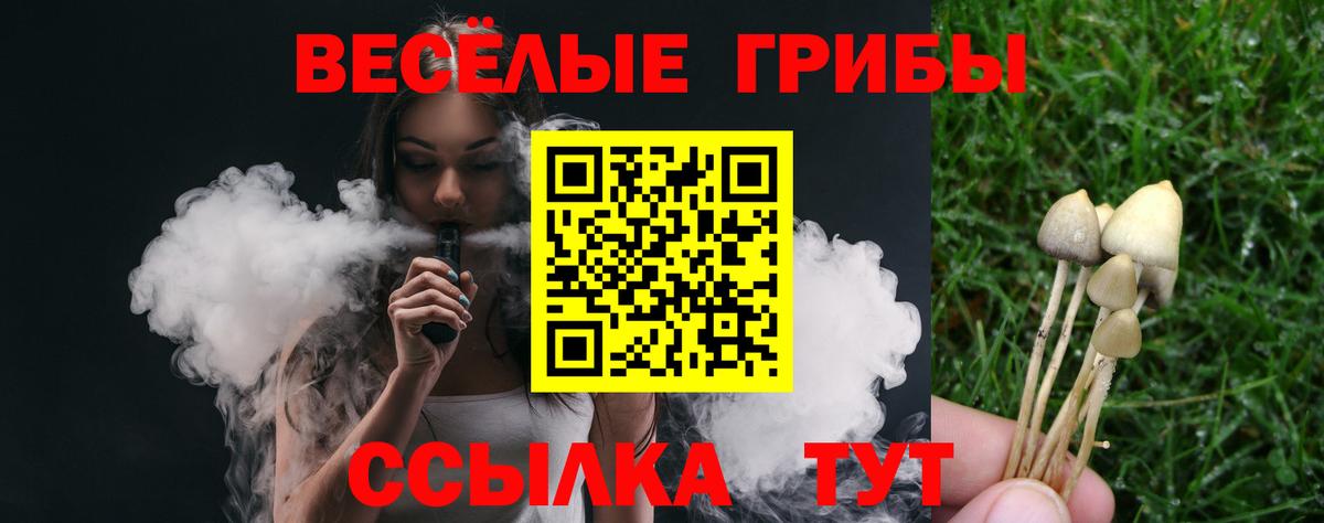 Урус-Мартан  Галлюциногенные грибы мицелий  Вход с VPN 